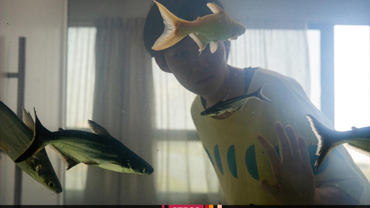 prensa-dormir-con-los-ojos-abiertos