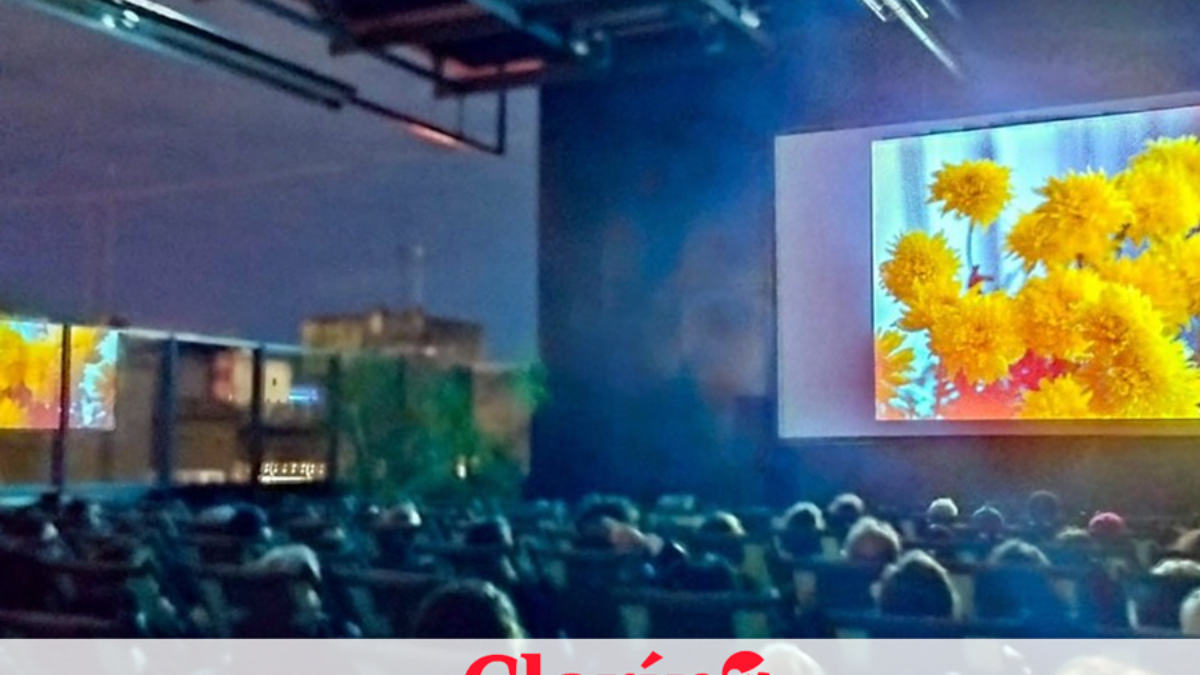 prensa-museo-noche-cine