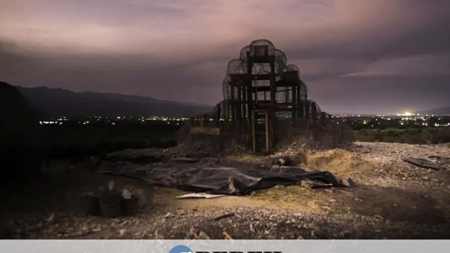 prensa-Nijensohn-perfil