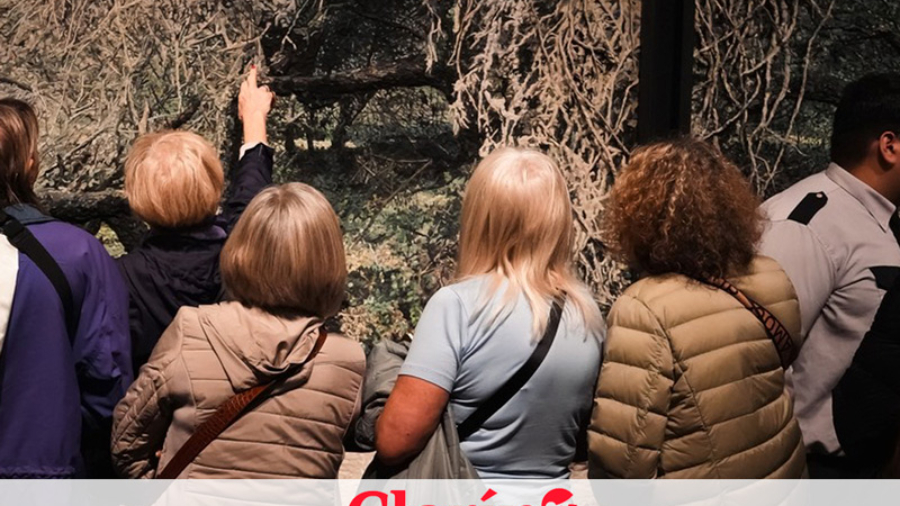 prensa-mondongo-rosario-clarin