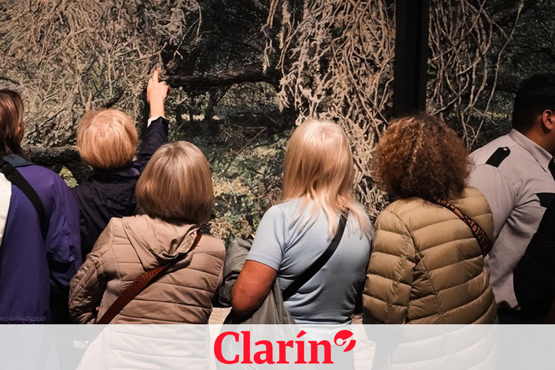 En Rosario, debut “a museo lleno” de la gira federal de Mondongo